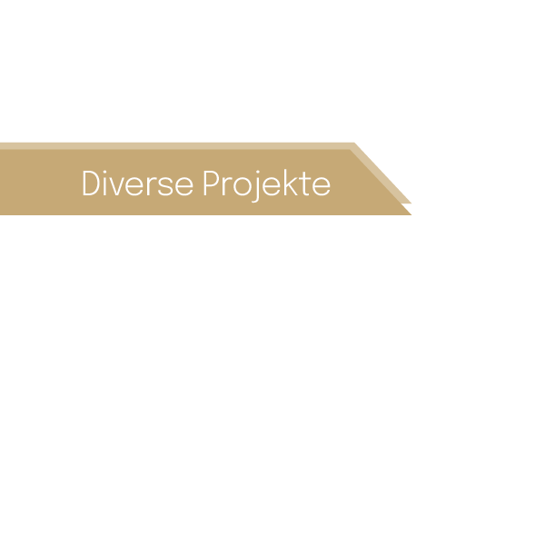 Read more about the article Diverse Projekte